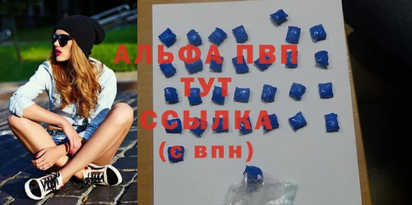 стаф Кодинск