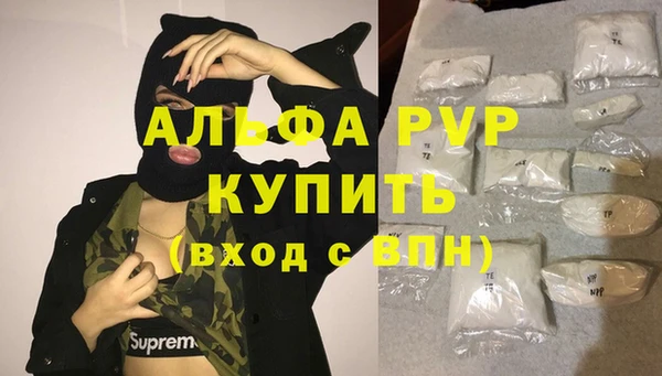 стаф Кодинск
